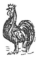 gallus, -ī (m.)