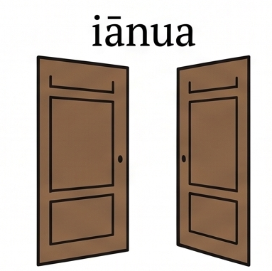iānua, -ae f.