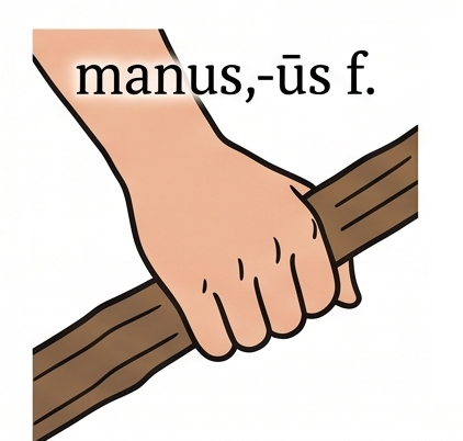manus, -ūs f.
