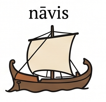 nāvis, nāvis f.