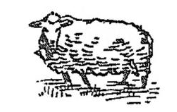 ovis, -is (f.)