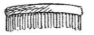 pecten, -inis (m.)