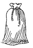 saccus, -ī (m.)