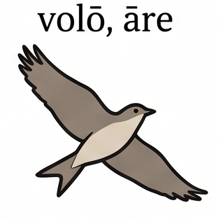 volō, -āre